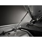 2008-2010DODGE CHALLENGER HOOD LIFT STRUTS STRUT MOPAR by Mopar