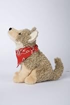 Trickster Coyote
