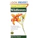 Peterson First Guide to Wildflowers of Northeastern and North-central North Amer ica (Peterson First Guide (R))