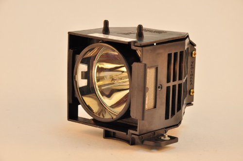 SELECT Epson EMP-821 Rear Projection Television Replacement Lamp RPTV