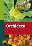 Taschenatlas Orchideen - Mit 340 Pflanzenportr&auml;ts - Lutz R&ouml;llke