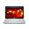 Netbooks for Jen