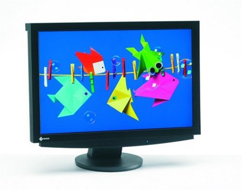 Eizo S2410W-BK 61 cm (24 Zoll) LCD TFT Monitor (Kontrast 1000 :1, Reaktionszeit 8ms) schwarz