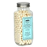 The Good Home Co.  Beach Days Vacuum Beads, 12-14 Uses (Pack of 2)