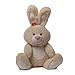 Gund Valentine's Blossom Tan Bunny