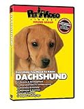 Dachshund DVD, Dog Guide DVD, Books, Pet Accessory, Home & Garden