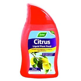 Westland Citrus Plant Food 375ml