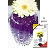 Crystal Soil USA brand Water Decor Beads; PURPLE;6 pack (60grams)