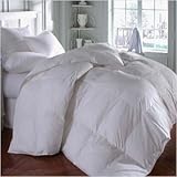 Encore Allusion Synthetic Comforter Size: Oversized King