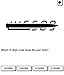 Puzzle Quizzes Volume 5