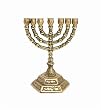 The Holy Temple 7 Branch Menorah #1902