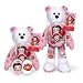 Betty Boop Beanie Bear - Hearts & Kisses plush doll