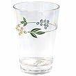 Corelle Coordinates Secret Garden 8-Ounce Acrylic Glass, Set of 6