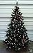 6` Prelit Clearwater Pine Christmas Tree