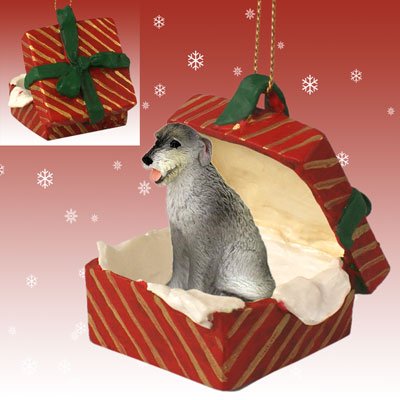 Irish Wolfhound Dog Sits In A Red Gift Box Christmas Ornament New Resin Rgbd76 Picture