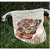 LARP-M�nzset Adliger (50 M�nzen im Beutel)