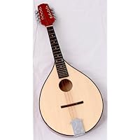 High Gloss Mandolin