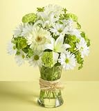 Same Day Flower Delivery 1-800-Flowers Serene Green