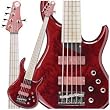 MTD Kingston Bass Guitar Z 5 String, Rosewood Fingerboard, Burled Maple