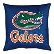 Florida Gators Locker Room Pillow (18x18) NCAA