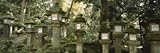 Stone Lanterns, Kasuga Taisha, Nara, Japan Premium Photographic Poster Print by Panoramic Images , 20x60