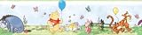 RoomMates RMK1638BCS Winnie the Pooh Toddler Peel & Stick Border