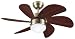 Westinghouse 7824820 Turbo Swirl Single-Light 30-Inch Six-Blade Ceiling Fan, Antique Brass with Frosted Globe