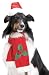 Santa Costume Holiday Dog Hat & Scarf Set - Size Large