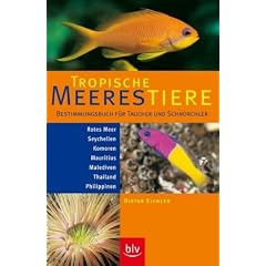 Tropische Meerestiere. Bestimmungsbuch f�r Taucher und Schnorchler: Rotes Meer, Seychellen, Komoren, Mauritius, Malediven, Thailand