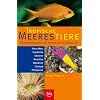 Tropische Meerestiere. Bestimmungsbuch f�r Taucher und Schnorchler: Rotes Meer, Seychellen, Komoren, Mauritius, Malediven, Thailand