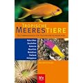 Tropische Meerestiere. Bestimmungsbuch f�r Taucher und Schnorchler: Rotes Meer, Seychellen, Komoren, Mauritius, Malediven, Thailand