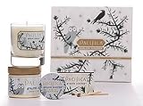 Avalon Juniper Aromatherapy Sented Candle Body lotions Solid Perfume Gift Set 41cVDnWg2fL. SL160 Avalon Juniper Aromatherapy Sented Candle Body lotions Solid Perfume Gift Set