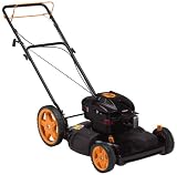 Poulan Pro #PR625Y22SHPX 625 Series Briggs & Stratton Gas Powered Side Discharge/Mulch Front Wheel Drive Self-Propelled Lawn Mower With High Rear Wheels