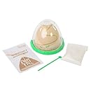 Ant Farm Viewing Habitat - Escape Proof Ant Hill Kit Includes Sand And Activity Book