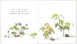 ちいさなき (幼児絵本ふしぎなたねシリーズ) 画像
