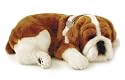 Perfect Petzzz Bully Bulldog