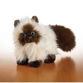 Webkinz Himalayan Cat by Webkinz