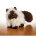 Webkinz Himalayan Cat