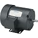 Leeson Woodworking Electric Motor - 1 HP, Model# 110142.00