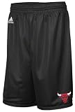 Chicago Bulls Black Full Color Logo Mesh Shorts