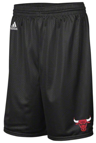 Chicago Bulls Black Full Color Logo Mesh Shorts
