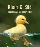 Produkt-Bild: Klein & S&uuml;&szlig; Hosentaschenkalender