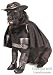 Pet Zorro Dog Halloween Costume For X-large Dogs