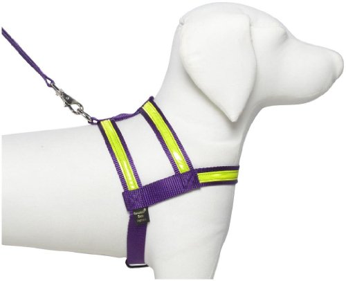 Co-Leash Purple Night Lite Harness - X-Large