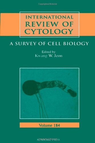 International Review of Cytology: 184 (International Review of Cell and Molecular Biology)