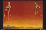 Posters: Salvador Dali Poster - Elephants (36 x 24 inches)