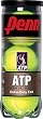 Penn ATP Extra Duty Tennis Balls Can
