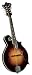 Kentucky KM-1000 Master F Model Mandolin, Vintage 1920 Sunburst Nitrocellulose Lacquer