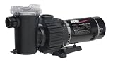 Wayne WIP100 1-Horsepower Pool Pump