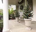 Set of 2 Battery Operated Lighted LED 16" Walkway Trees - Multi Lights